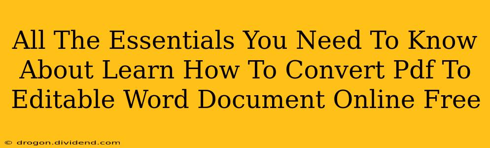 All The Essentials You Need To Know About Learn How To Convert Pdf To Editable Word Document Online Free