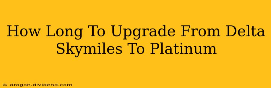 How Long To Upgrade From Delta Skymiles To Platinum