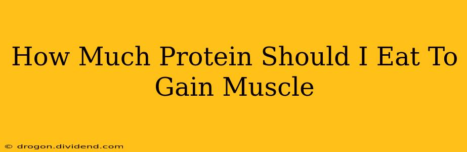 How Much Protein Should I Eat To Gain Muscle