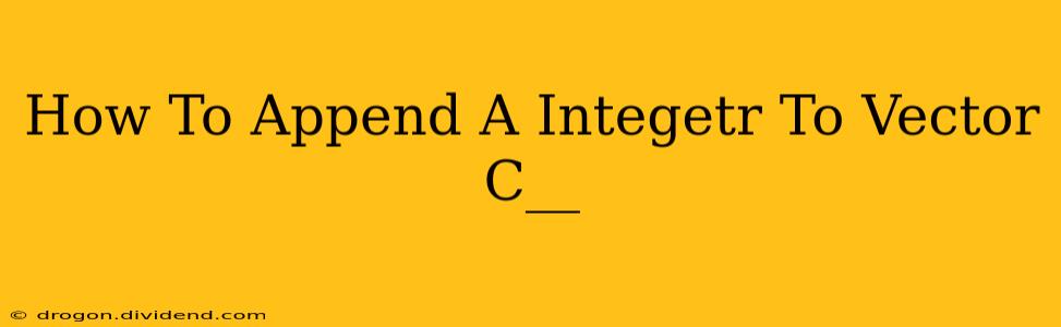 How To Append A Integetr To Vector C__