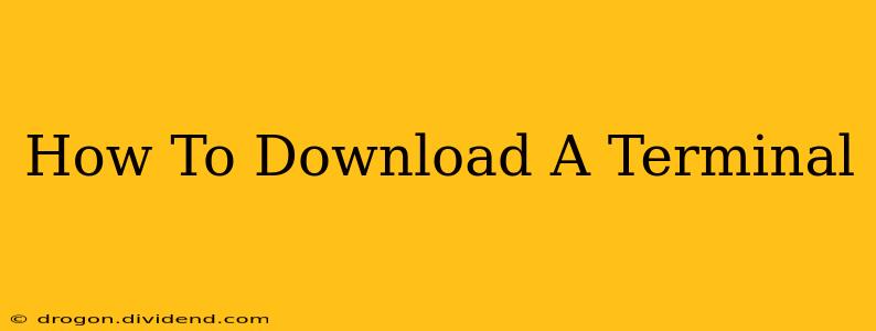 How To Download A Terminal