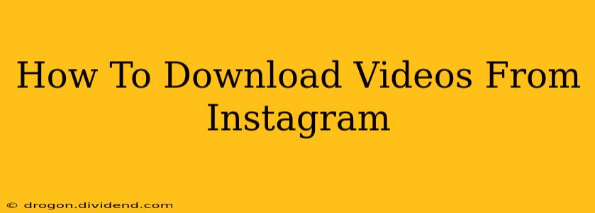 How To Download Videos From Instagram