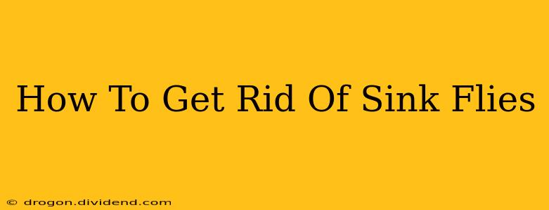 How To Get Rid Of Sink Flies