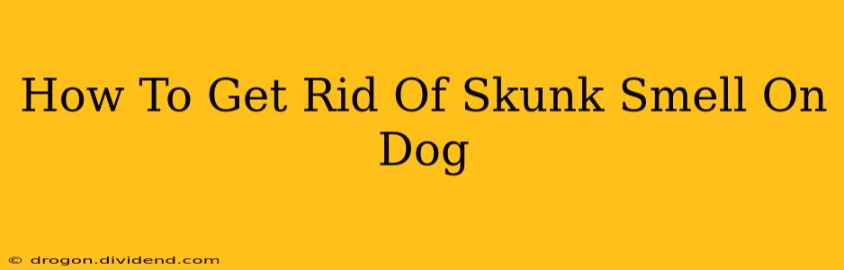 How To Get Rid Of Skunk Smell On Dog