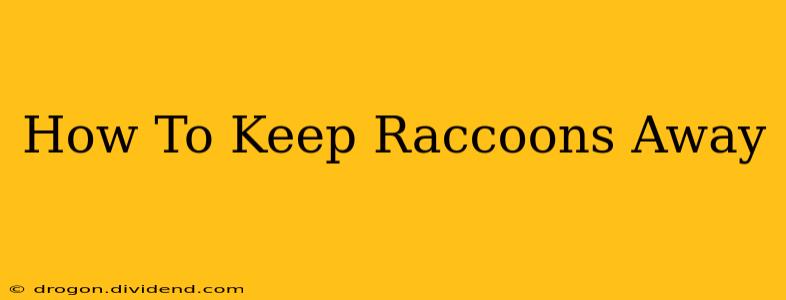 How To Keep Raccoons Away