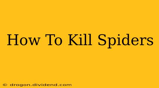 How To Kill Spiders