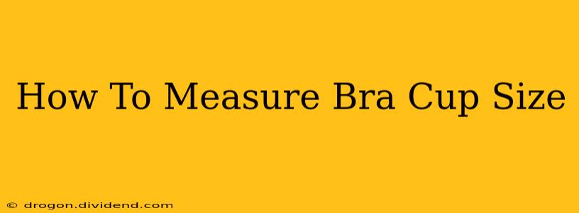 How To Measure Bra Cup Size