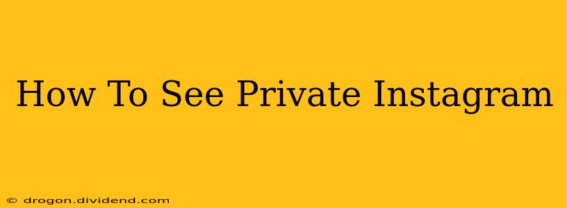 How To See Private Instagram